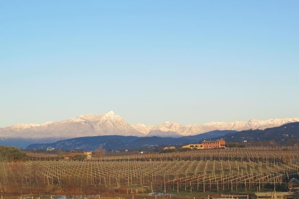 Country Apartment, Near Bardolino And Lazise Calmasino Eksteriør bilde